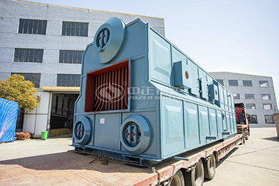 DZL series chain grate boiler