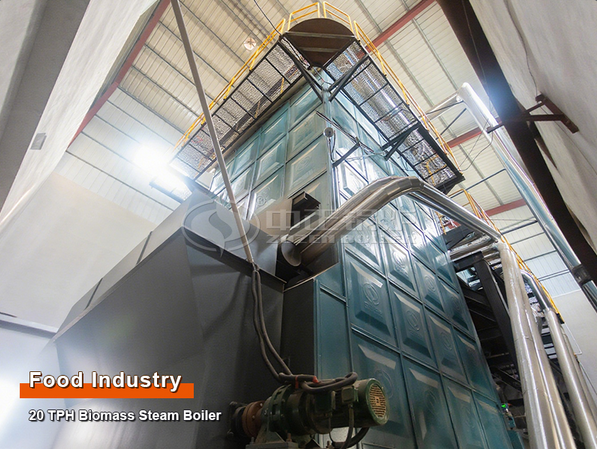 biomass boiler for sale