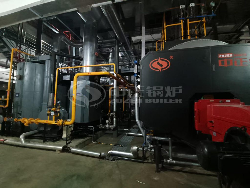 10 tph boiler