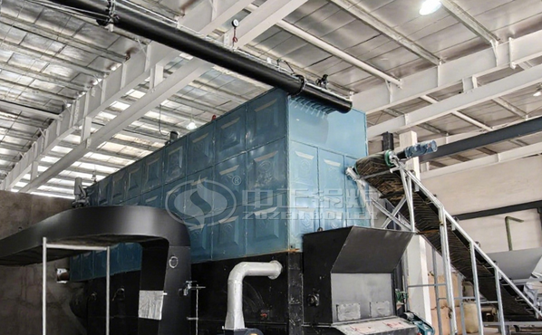 10 Million kcal Biomass Thermal Oil Boiler