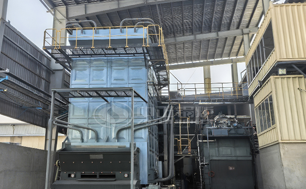 25 tph Coal-Fired Steam Boiler