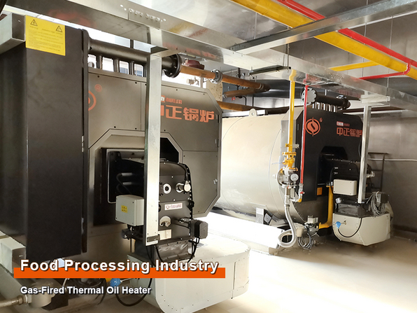 12 Million Kcal Gas-Fired Thermal Oil Heater