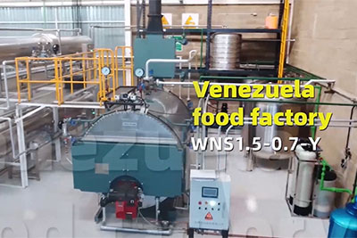 1.5 ton diesel steam boiler site