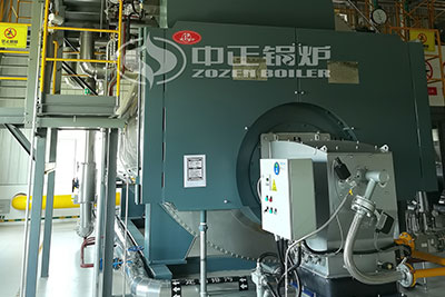 15 ton gas steam boiler