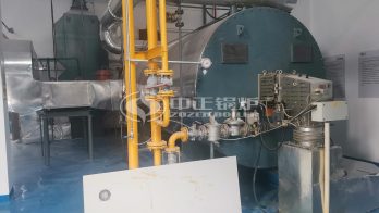 ZOZEN Fuel Oil Boiler