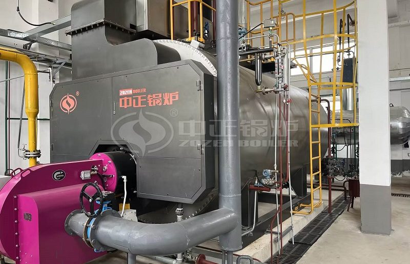 ZOZEN 5 Tph Hydrogen Steam Boiler