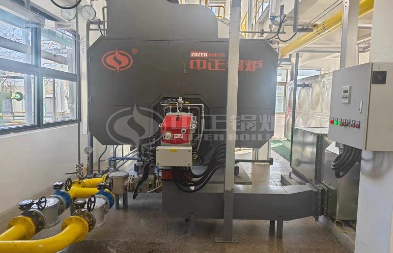 ZOZEN 8 Tph Biogas Steam Boiler