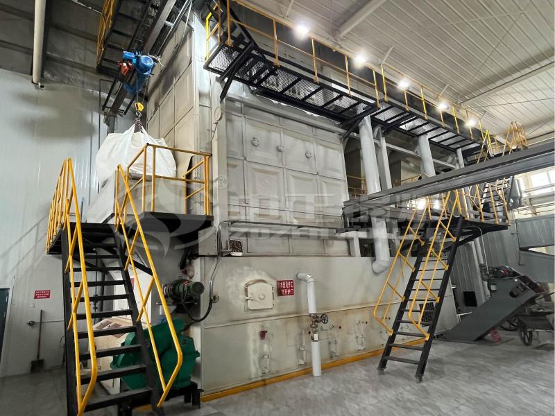 Biomass Chain Grate Steam Boiler