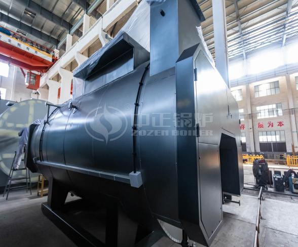 ZOZEN 5 Ton Boiler