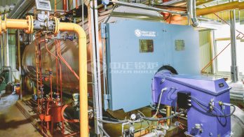 4 ton gas steam boiler