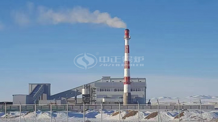 fluidized bed coal fired boiler