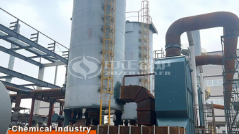 vertical thermal oil boiler