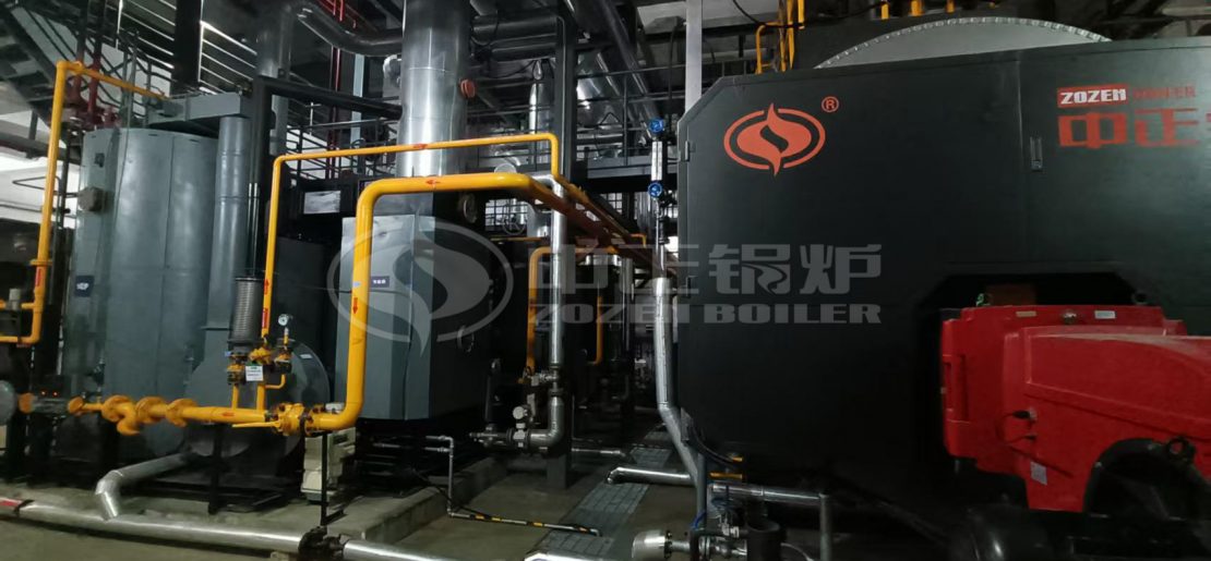 10 tph boiler