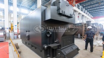 dzl coal fired steam boiler