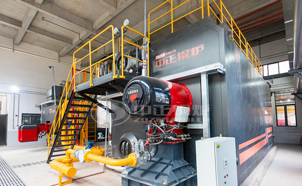 18 Ton SZS Gas-fired Steam Boiler