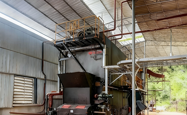 6 tph Biomass Steam Boiler