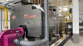5 tph boiler