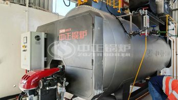 5 ton boiler price