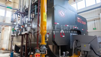 lpg fired steam boiler