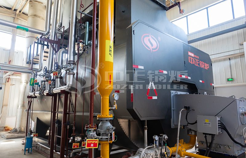 lpg fired steam boiler